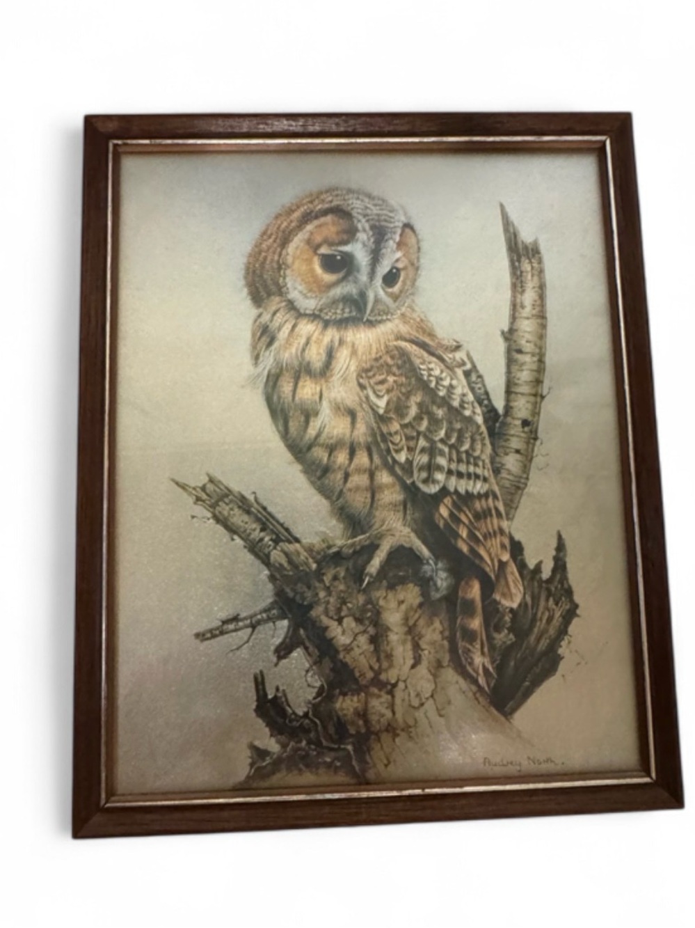 Vintage 1970s Audrey North Tawny Owl Metallic Foil Art Print Framed Signed